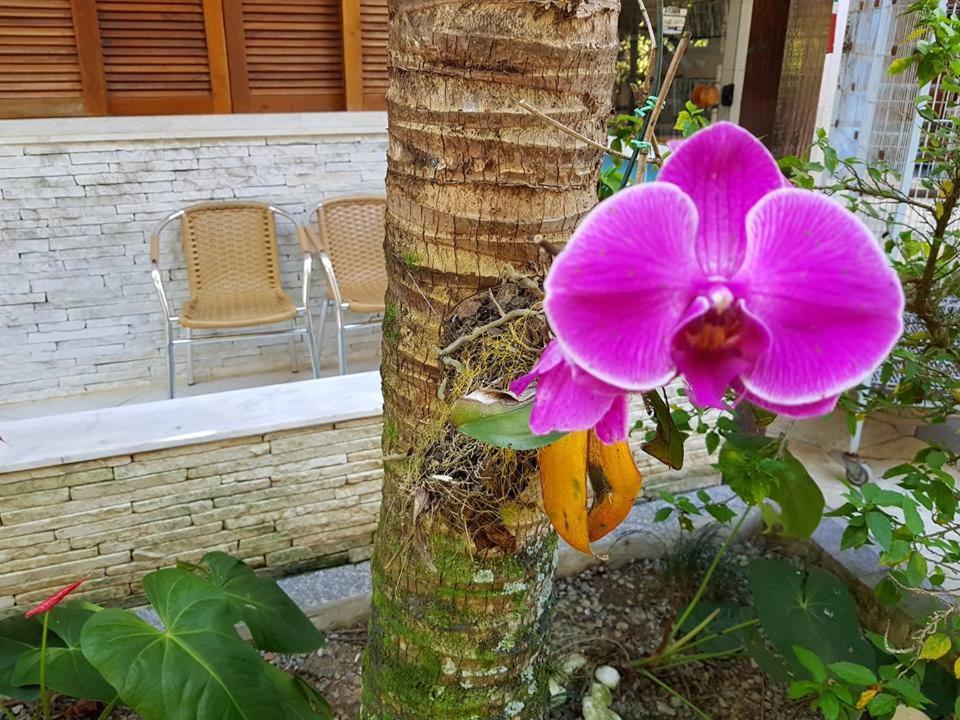 בואיקוקנגה Pousada Morada Das Ilhas מראה חיצוני תמונה